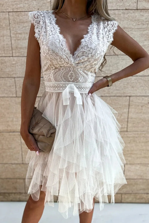 Women's Lace Tulle Dress